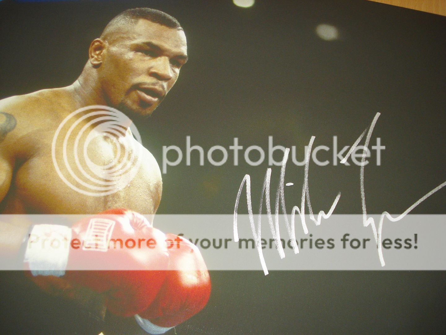 MIKE TYSON AUTHENTIC & GENUINE HAND SIGNED AUTOGRAPH BOXED CANVAS